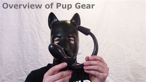 Overview Of Pup Gear Youtube