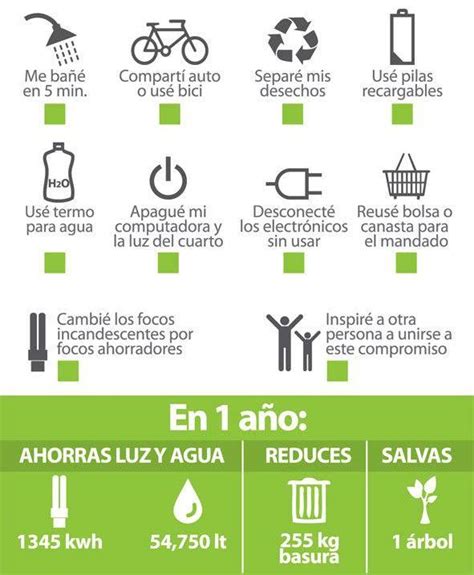 10 Formas Fáciles De Cuidar El Medio Ambiente Ciencias Naturales 1