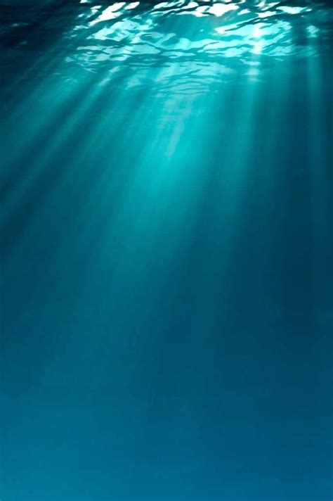 Underwater Sunlight Wallpaper