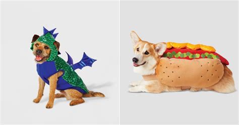 Best Dog Halloween Costumes At Target 2021 Popsugar Uk Pets