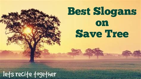 Slogan On Trees In English Best English Slogan On Save Tree Save Tree
