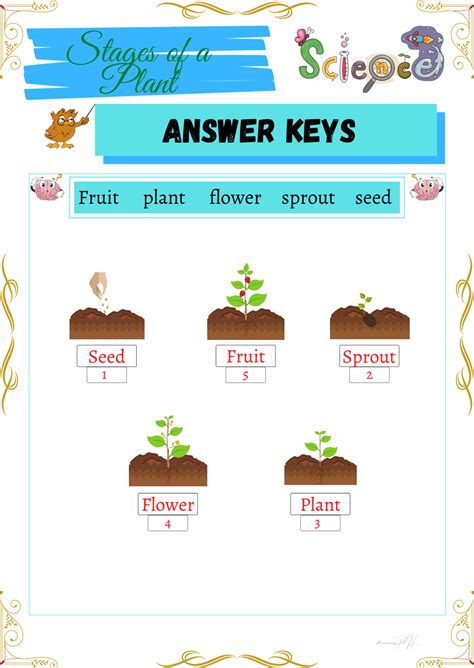 Grade 1 Science Worksheets Parts And Cycle Of Plants