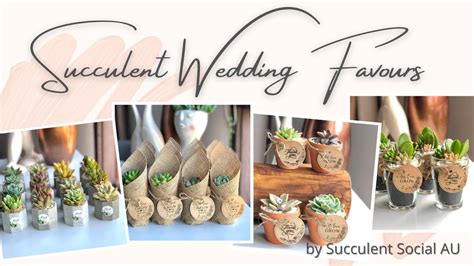 Succulent Wedding Favours Ts Bombonieres Giveaways Youtube