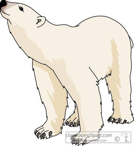 Clip Art Polar Bear Clip Art Library