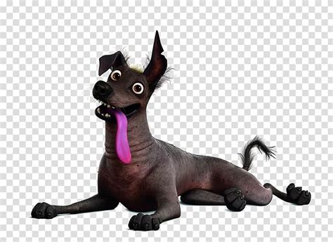 Coco Dog Character Illustration Pixar Ernesto De La Cruz Animated Film