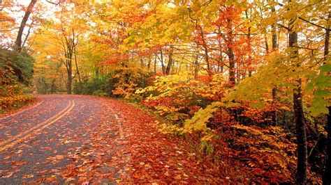 Fall Nature Backgrounds Wallpaper Cave