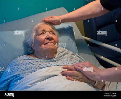 Caring For Elderly Stock Photos & Caring For Elderly Stock 
