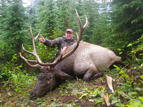 Wilderness Elk Hunt In British Columbia Worldwide Trophy Adventures