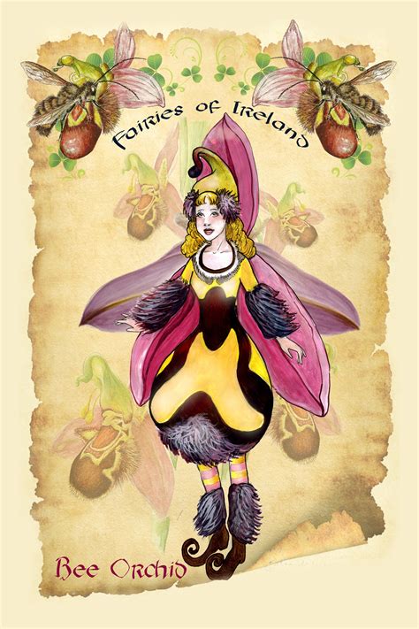 Bee Orchid Fairy Fairies Of Ireland Etsy