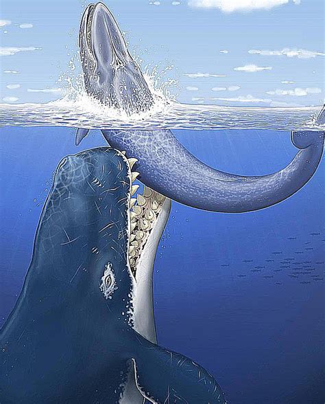Facts About Leviathan The Giant Prehistoric Whale