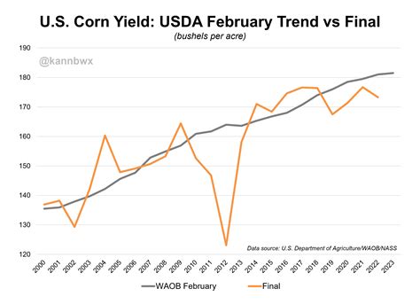 US Corn Yield Conundrum 181 5 Or Even Higher Reuters