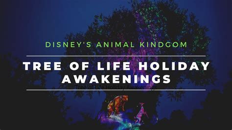 Tree Of Life Holiday Awakenings Disneys Animal Kingdom Youtube