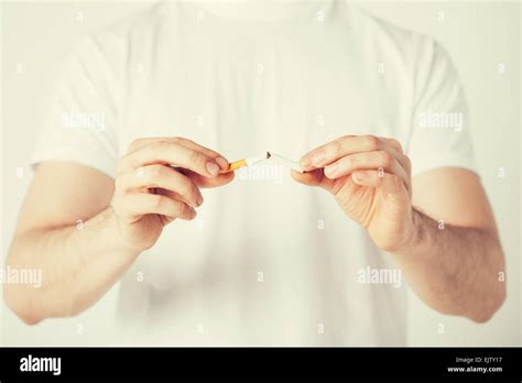 Man Breaking The Cigarette With Hands Stock Photo Alamy