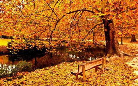 Look At The Wonderful Colors Of Fall Autumn Photography Autumn