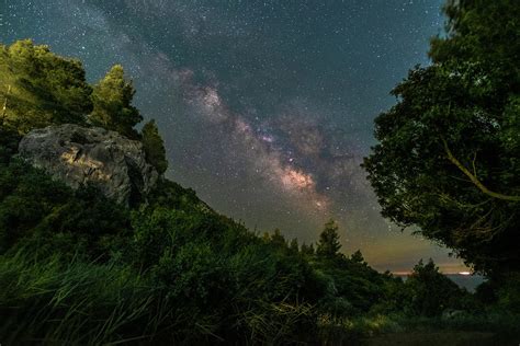 Milky Way Emerging Through The Dense Vegetation Photograph By Alexios