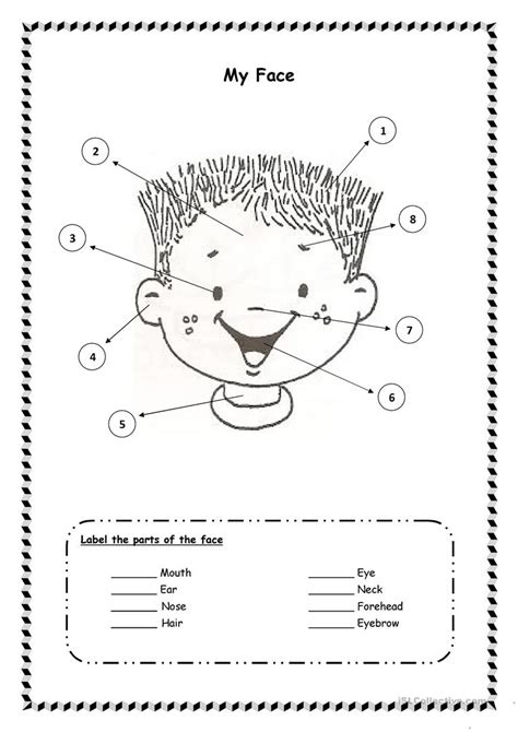 My Face Worksheets For Preschool