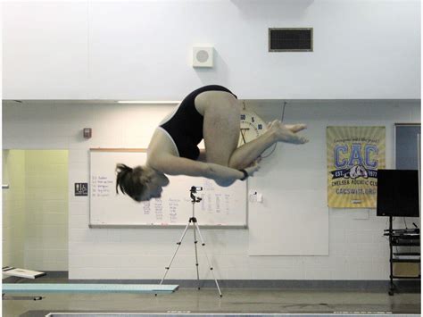 Bulldogs Sending Six To D3 Swim And Dive Finals The Sun Times News
