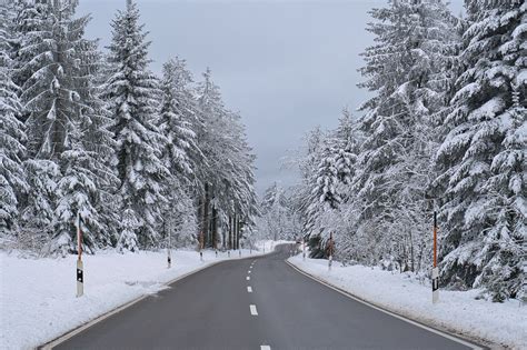 Winter Wonderland Snow Covered In Free Photo On Pixabay Pixabay