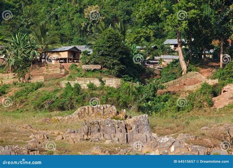 Traditional Wooden Village And Agriculture At The Mekong River In Laos