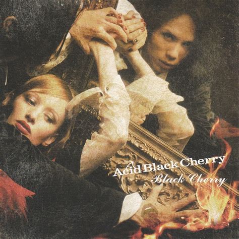 Acid Black Cherry Black Cherry Releases Discogs