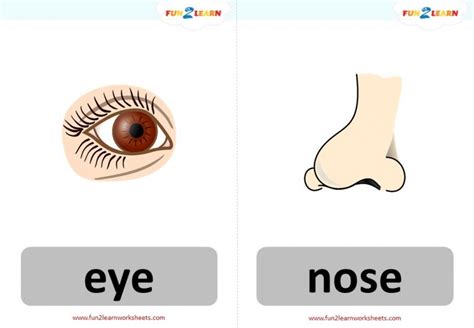 Head Shoulders Knees And Toes Free Flashcards Fun2learn