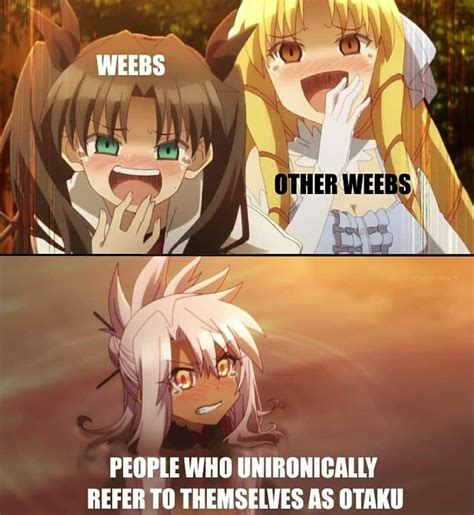 Anime Memes Anime Memes Anime Anime Funny