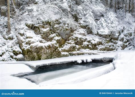 Frozen Stream In Winter Forest Stock Photo Image Of Wintertime