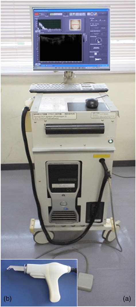 The Swept Source Optical Coherence Tomography Ss Oct System Used In