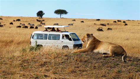 3 Days 2 Nights Maasai Mara Safari