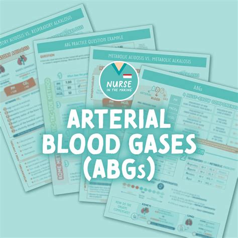 Arterial Blood Gases Abgs Study Guide Pages Etsy