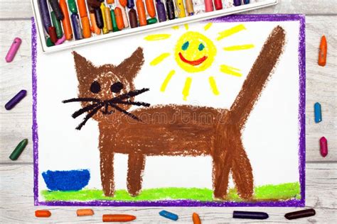 Drawing Brown Cat Stock Illustration Illustration Of Animal 100363889