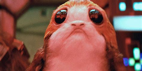 Star Wars Porg Concept Art Shows How The Creatures Evolved