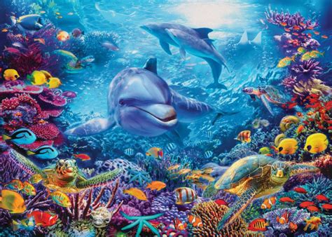 Under The Sea Murals Underwater Wall Murals