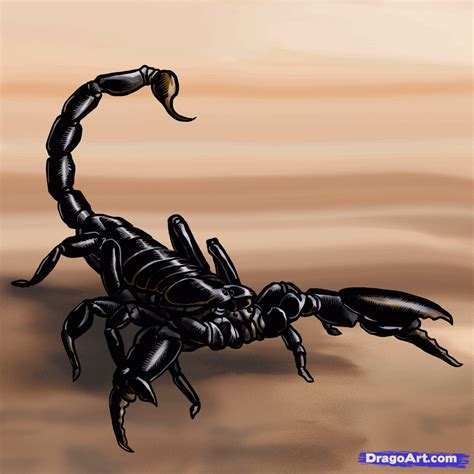 How To Draw Scorpions Step By Step Bugs Animals Free Online Drawing