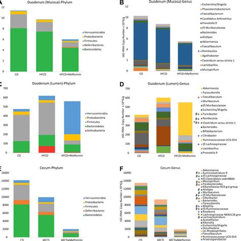 Microbiome Composition Throughout The Gastrointestinal Tract Is Altered