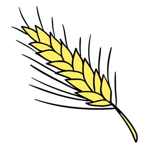 Wheat Hand Drawn Color Transparent Png And Svg Vector File