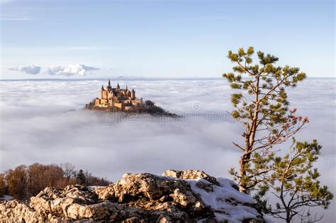 Hohenzollern Castle Above The Clouds Fog With With Pine On Rock In The