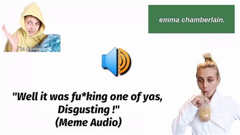 Well It Was Fuking One Of Yas Disgusting Meme Audio Sound Effect