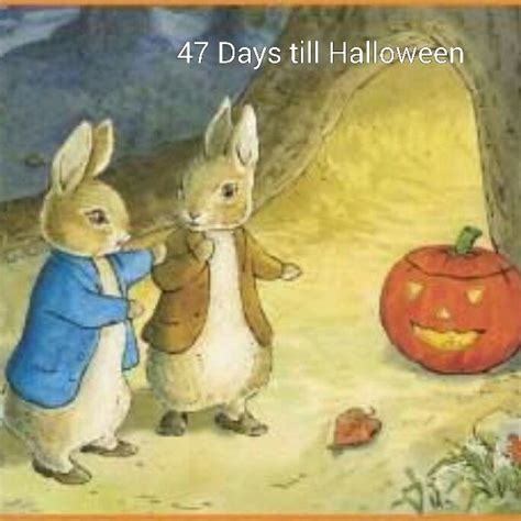 I ask a few simple questions and know exactly what they need. 47 days till Halloween Peter rabbit you pumpkin (With images) | Days till halloween, This is us ...