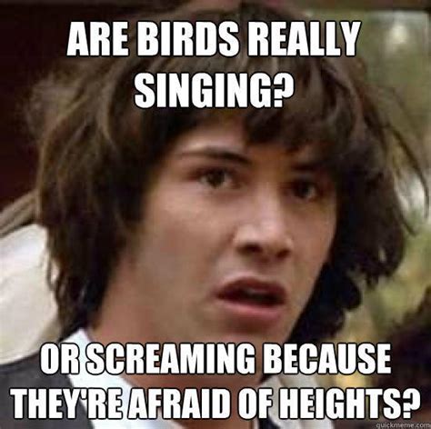 Are Birds Really Singing Or Screaming Because Theyre Afraid Of