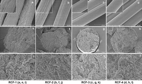 Fesem Images Of Surface Cross Section Of Regenerated Cellulose Fibers