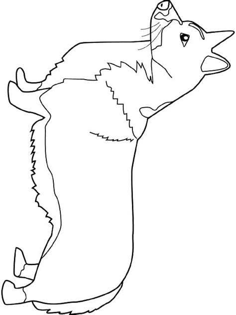 20 unique images and 2 copies of every image. Corgi Line Drawing at PaintingValley.com | Explore ...