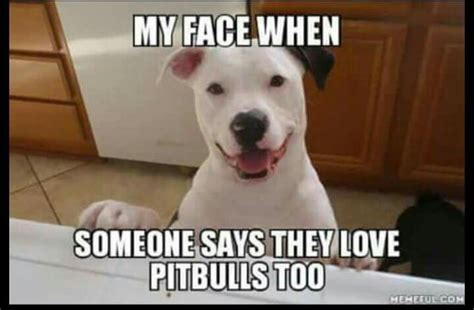 Pin By Vickie Chaffin On Pitties Pitbulls Cute Pitbulls Pit Puppies
