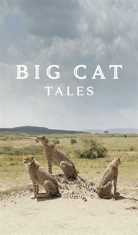 Big Cat Tales Untitled Film Works