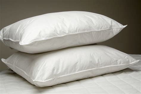 Ultra® Plush Pillow by Venus Group - Hotelstoyou.com