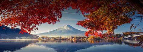 Official website of the japanese olympic committee (joc) Japão - Viagens & CIA