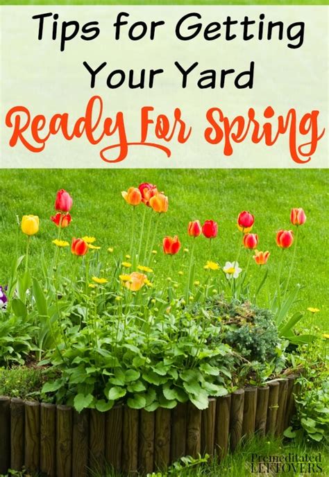 How To Get Your Yard Ready For Spring