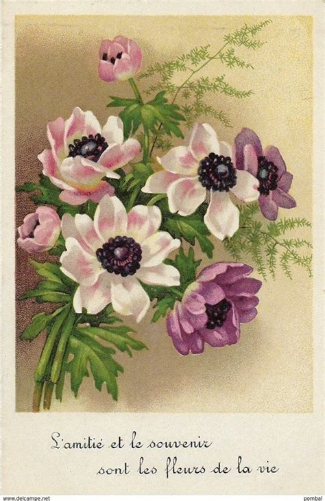 An Old French Postcard With Pink And White Flowers