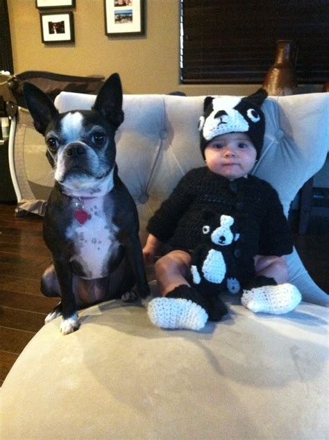 human baby dresses   boston terrier sister ibostonterriercom