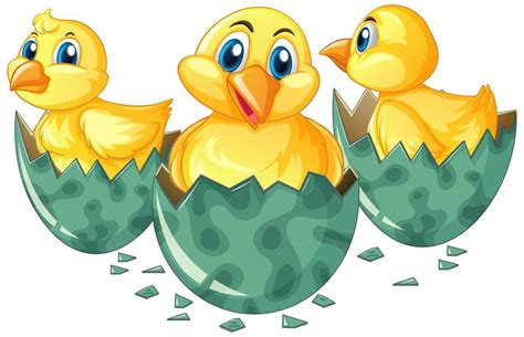 Three Little Chicks Hatching Eggs 520691 Vector Art At Vecteezy